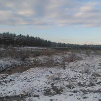 Sarıgöl Bahadırlar Köyü Resimleri 17