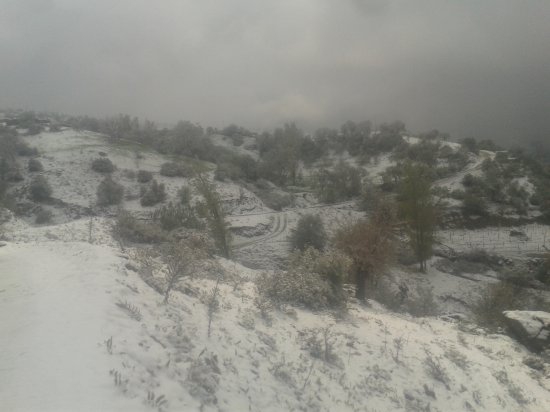 Sarıgöl Güneydamları Köyü Resimleri 1