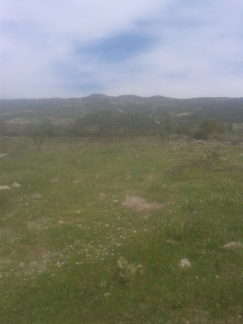 Sarıgöl Güneydamları Köyü Resimleri 2