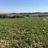Hayrabolu Parmaksız Köyü Resimleri 5