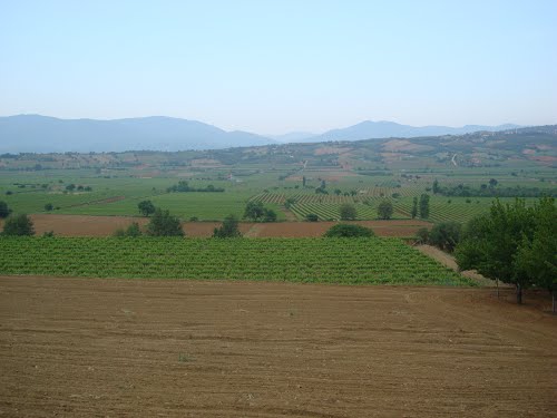 Sarıgöl Kahramanlar Köyü Resimleri 1