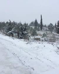 Hayrabolu Subaşı Köyü Resimleri 4