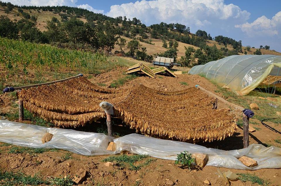 Sarıgöl Şeyhdavutlar Köyü Resimleri 2