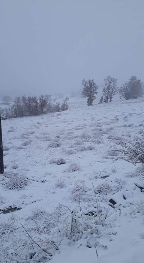 Sarıgöl Şeyhdavutlar Köyü Resimleri 6