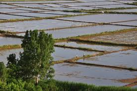 Hayrabolu Tuğcalı Köyü Resimleri 2