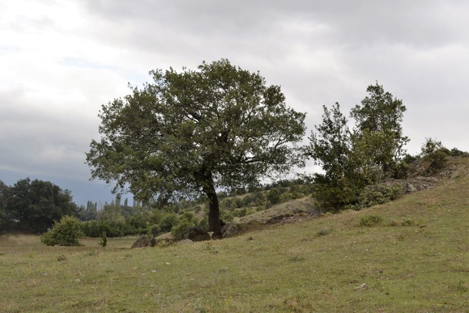 Amasya Taşova Gürsu Köyü Resimleri 12