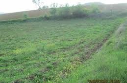 Malkara Demircili Köyü Resimleri 1