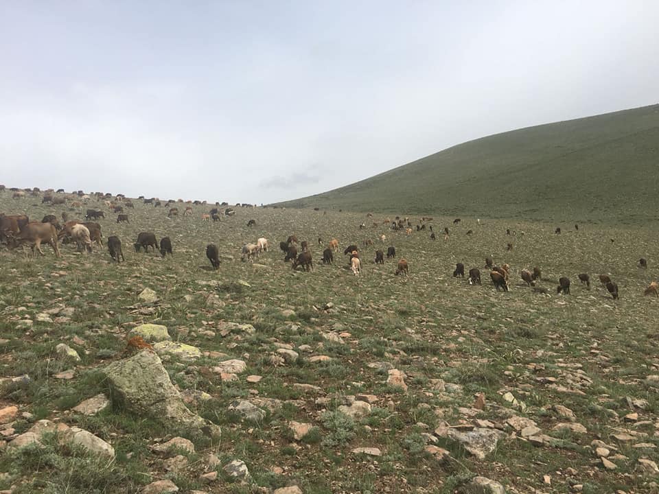 Pasinler Serçeboğazı Köyü Resimleri 4