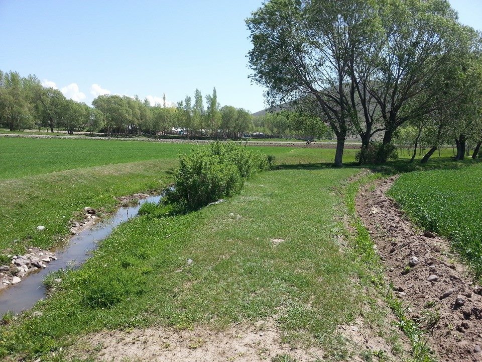 Pasinler Serçeboğazı Köyü Resimleri 8