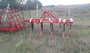 Muratlı Arzulu Köyü Resimleri 1