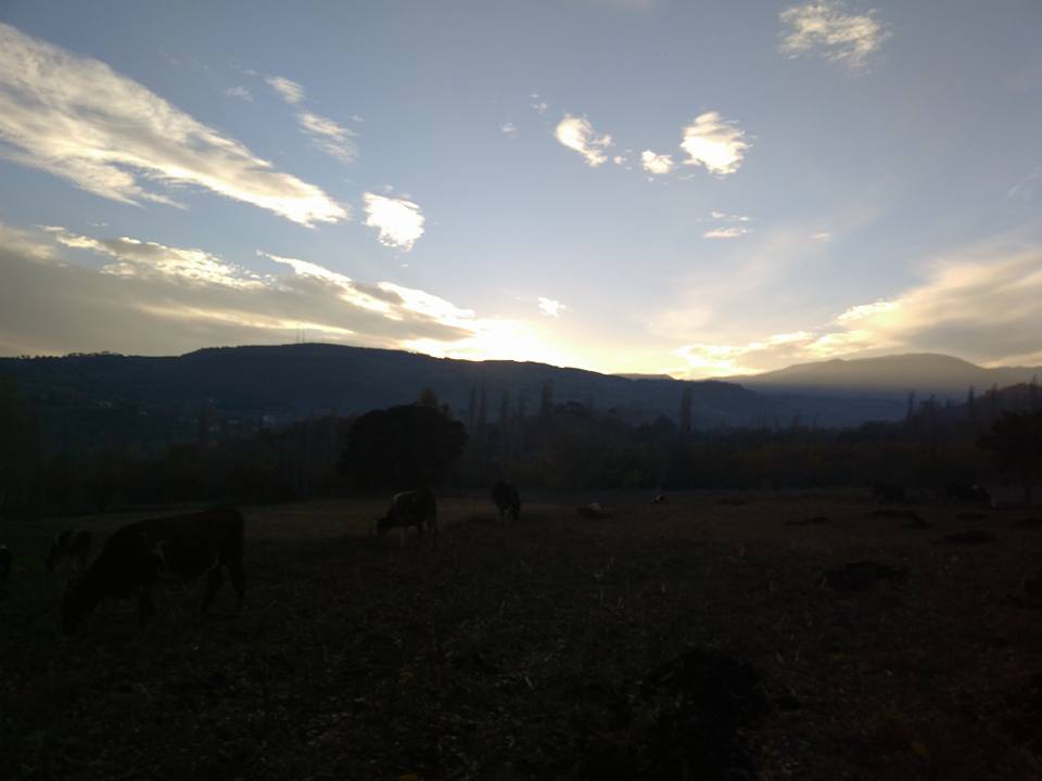 Amasya Taşova Sepetli Köyü Resimleri 13