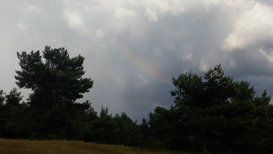 Amasya Taşova Sepetli Köyü Resimleri 20