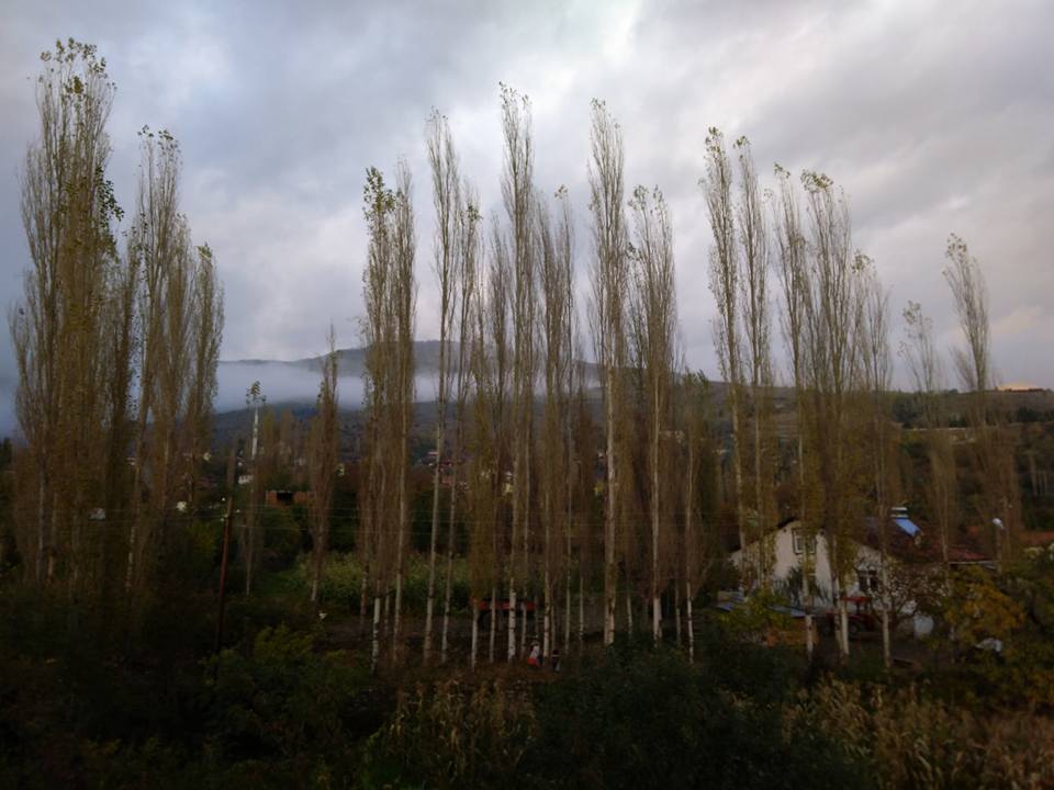 Amasya Taşova Sepetli Köyü Resimleri 22