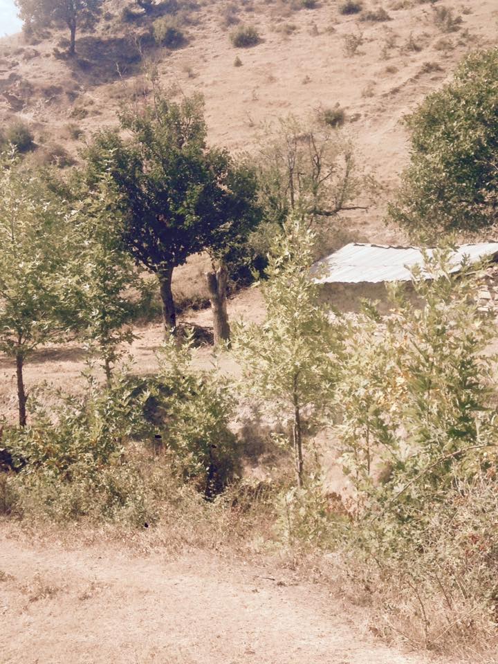 Amasya Taşova Sepetli Köyü Resimleri 31