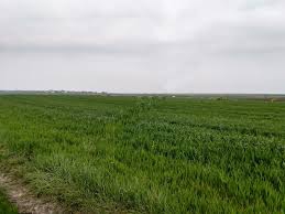 Muratlı Yukarısevindikli Köyü Resimleri 4