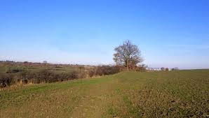 Saray Büyükyoncalı Köyü Resimleri 1