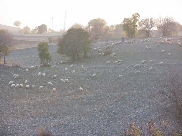 Amasya Taşova Türkmendamı Köyü Resimleri 4