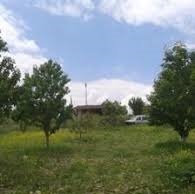 Saray Sinanlı Köyü Resimleri 4