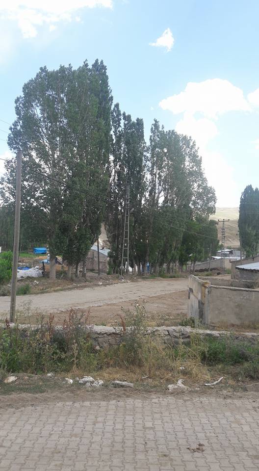 Pasinler Yastıktepe Köyü Resimleri 1