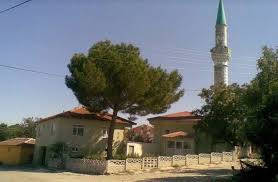 Süleymanpaşa Ahmedikli Köyü Resimleri 3