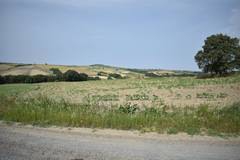 Süleymanpaşa Akçahalil Köyü Resimleri 1