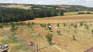 Süleymanpaşa Akçahalil Köyü Resimleri 2