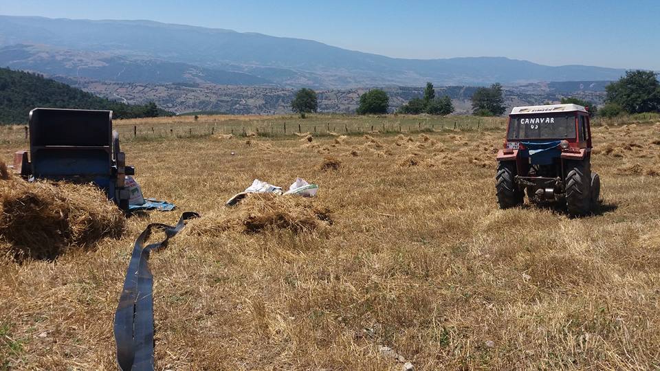 Amasya Taşova Çalkaya Köyü Resimleri 13