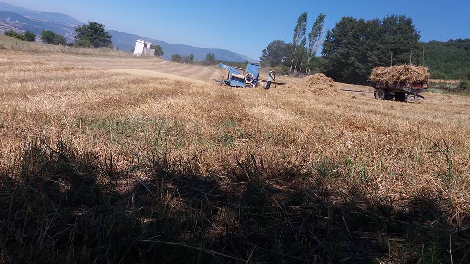 Amasya Taşova Çalkaya Köyü Resimleri 14