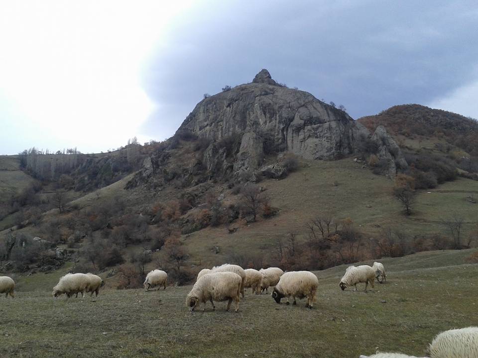 Amasya Taşova Çalkaya Köyü Resimleri 18