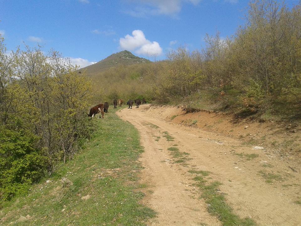 Amasya Taşova Çalkaya Köyü Resimleri 20