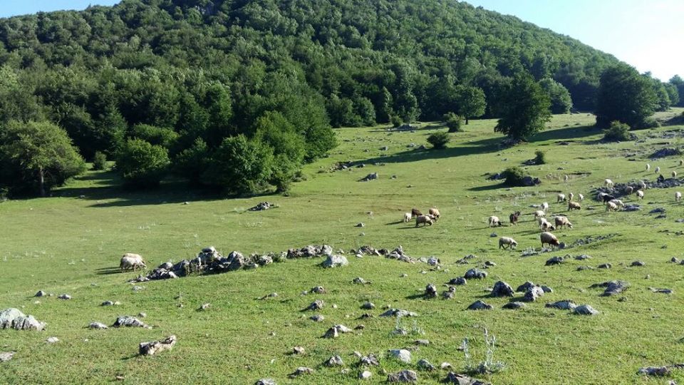 Amasya Taşova Çalkaya Köyü Resimleri 23