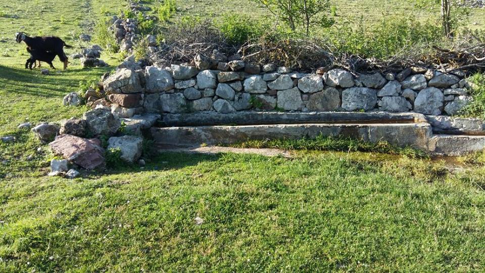 Amasya Taşova Çalkaya Köyü Resimleri 24