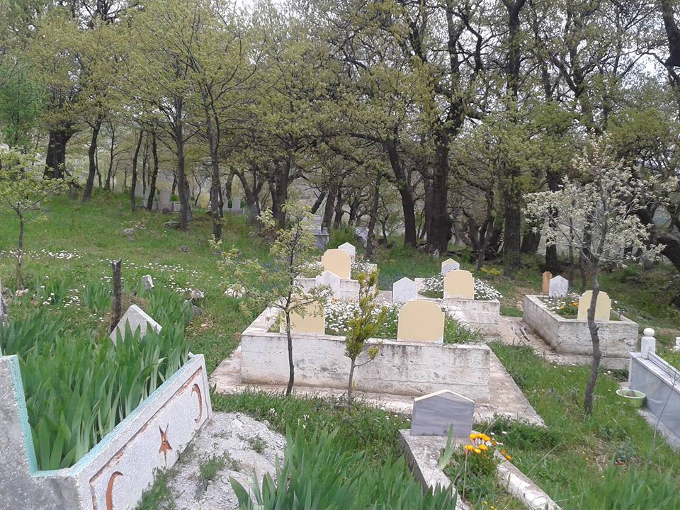 Amasya Taşova Çalkaya Köyü Resimleri 25