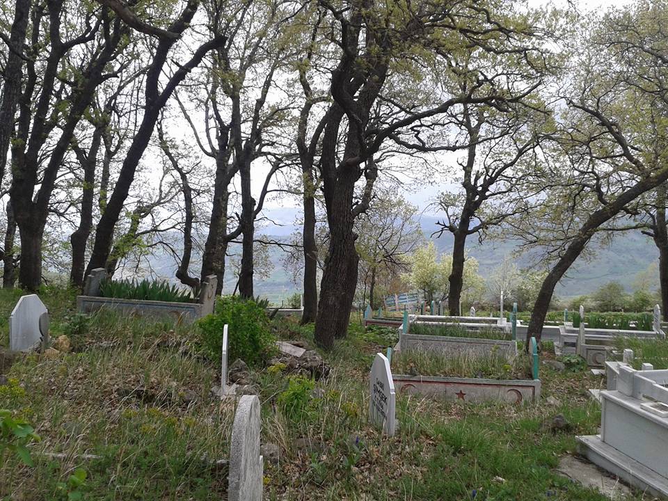 Amasya Taşova Çalkaya Köyü Resimleri 28