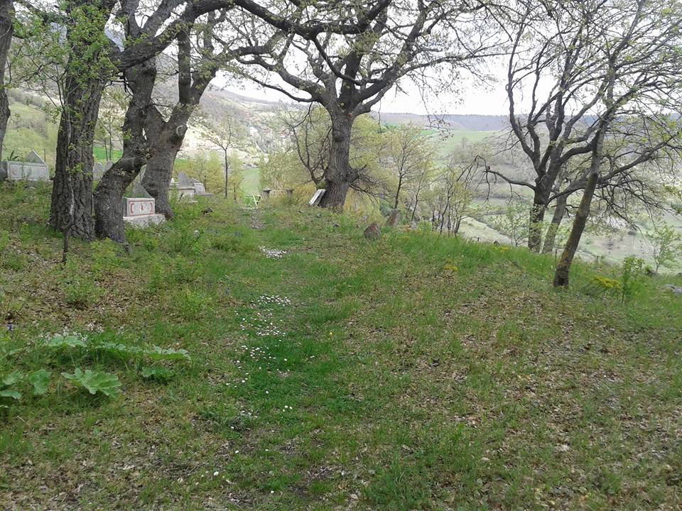 Amasya Taşova Çalkaya Köyü Resimleri 29