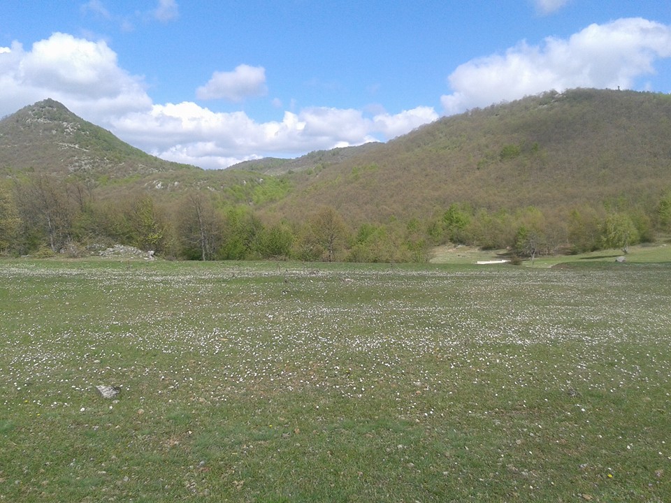 Amasya Taşova Çalkaya Köyü Resimleri 30