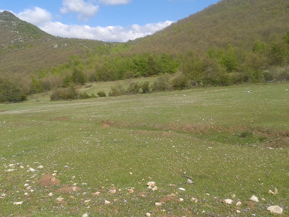 Amasya Taşova Çalkaya Köyü Resimleri 31
