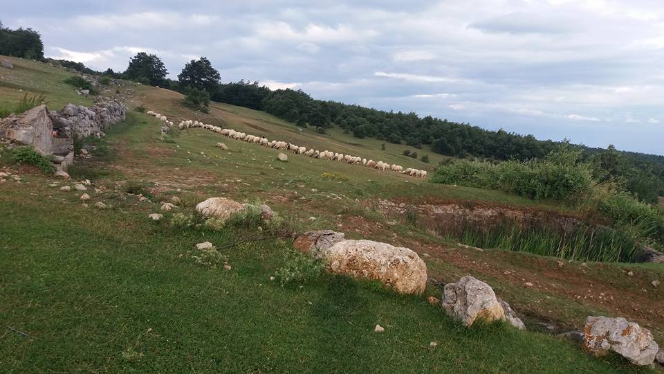 Amasya Taşova Çalkaya Köyü Resimleri 5