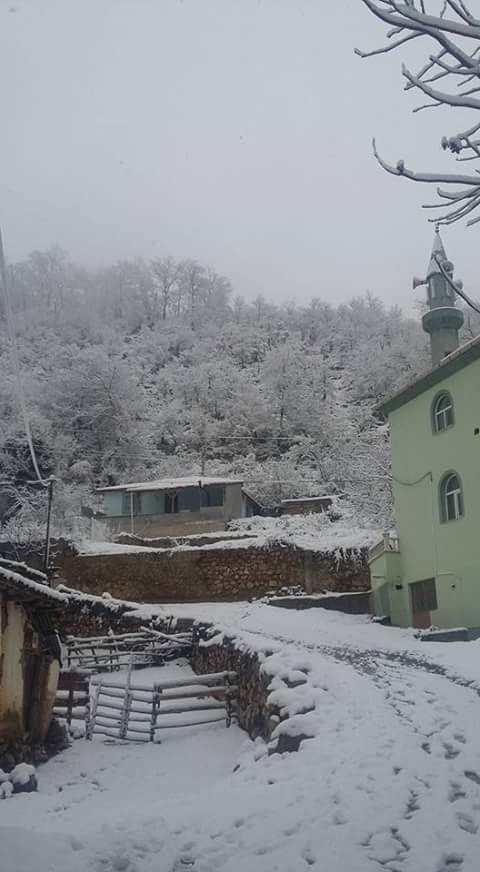 Amasya Taşova Çalkaya Köyü Resimleri 7