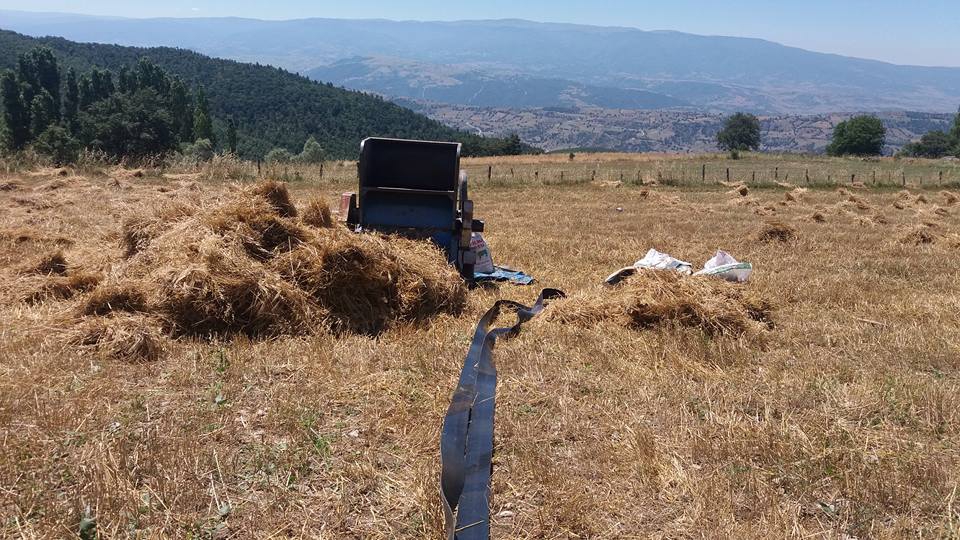 Amasya Taşova Çalkaya Köyü Resimleri 8