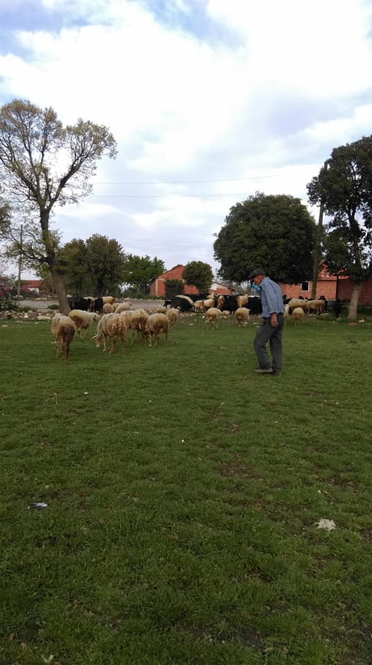 Selendi Avlaşa Köyü Resimleri 8