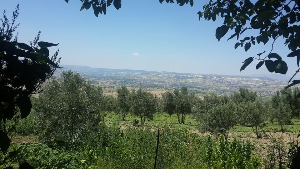 Selendi Beypınar Köyü Resimleri 14