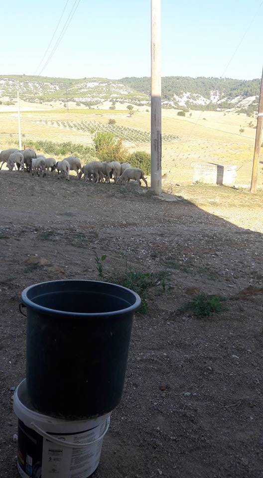 Selendi Beypınar Köyü Resimleri 15