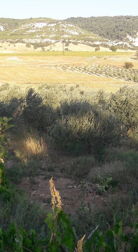 Selendi Beypınar Köyü Resimleri 16