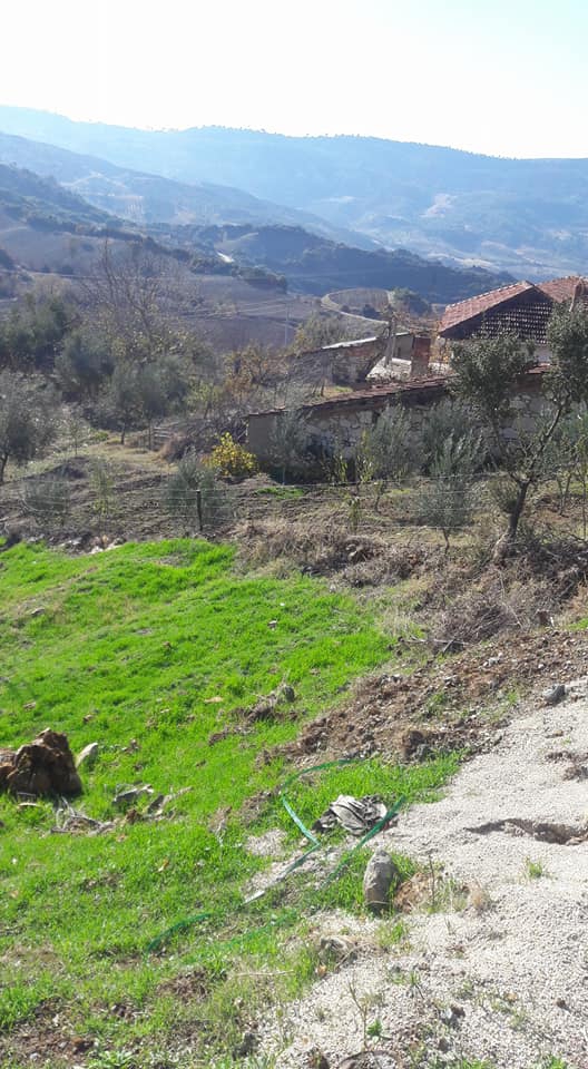 Selendi Beypınar Köyü Resimleri 18