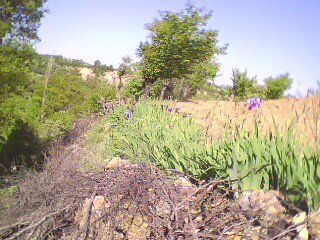 Selendi Çamköy Köyü Resimleri 1