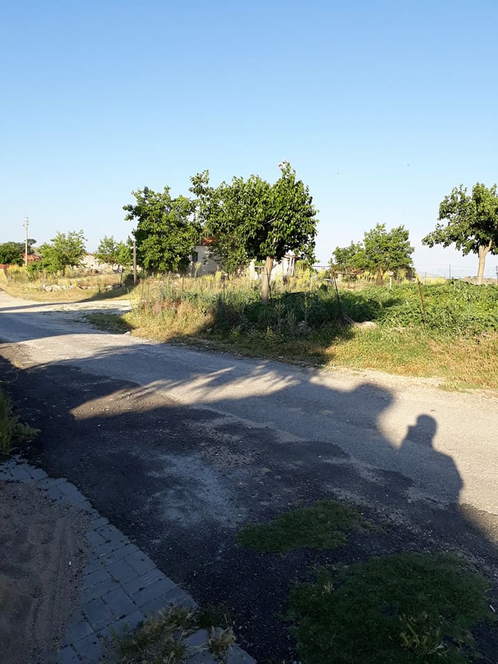 Selendi Çamköy Köyü Resimleri 13