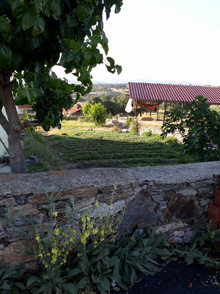 Selendi Çamköy Köyü Resimleri 17