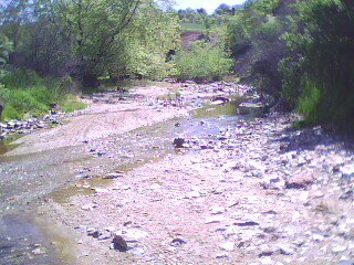 Selendi Çamköy Köyü Resimleri 3