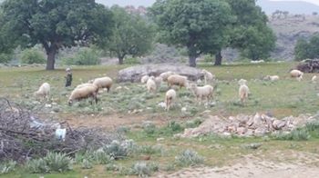 Selendi Çamköy Köyü Resimleri 5